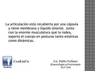 Anatomía de la Cadera