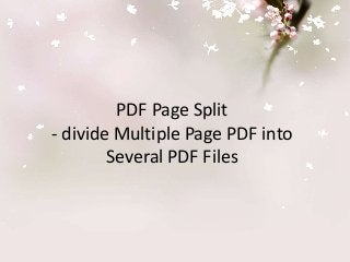 PDF Page Split
- divide Multiple Page PDF into
Several PDF Files
 