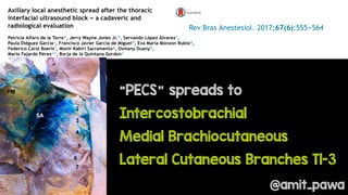 Concepts in Fascial Plane Blocks - What Every Anaesthetist Needs to Know