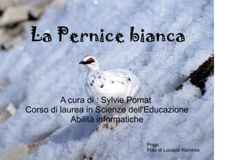 La Pernice bianca
Pngp.
Foto di Luciano Ramires
A cura di : Sylvie Pomat
Corso di laurea in Scienze dell'Educazione
Abilità informatiche
 