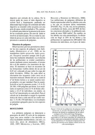 digestivo por estirado de la cabeza. En la
mayor parte de casos el tubo digestivo se
extraía fácil y limpiamente, pudiendo ser
dilacerado bajo la lupa. El contenido del tubo
digestivo se extendió sobre un porta con una
gota de agua, siendo estudiado a 70x, aumen-
to sufiente para detectar la presencia de restos
de las eventuales presas. En caso de duda se
resolvió al microscopio. No se evaluó la can-
tidad de presas en cada individuo sino sólo la
presencia o ausencia de pulgones.
Muestreo de pulgones
Observaciones previas permitieron detec-
tar las tres especies de pulgones más habi-
tuales (BARBAGALLO et al, 1998) en los
mandarinos (Aphis spiraecola, Aphis gossy-
piiy Toxoptera aurantií) aunque sólo la pri-
mera fue realmente abundante. La evolución
de las poblaciones se evaluó cuantitativa-
mente mediante censos mensuales, el mismo
día o el día anterior a los muéstreos de tije-
retas. El muestreo se basó en recuentos de
las brotaciones visibles dentro de un aro de
0.25 m2
, colocado al azar sobre la copa del
árbol (LLORENS, 1990a). En cada árbol se
efectuaron dos recuentos (=dos aros) en el
muestreo mensual. Dentro del aro se contó el
n° de brotes tiernos y se anotó cuantos tení-
an pulgón y en que cantidad. Para la cuanti-
ficación se usó la siguiente escala: 1-5; 6-25;
26-100; >100 pulgones por brote. Los resul-
tados se expresan como (1) % de brotes afec-
tados y (2) n° de individuos -no alados- en
los 0.5 m2
muestreados en cada árbol. Para el
cálculo de la densidad se asignó la siguiente
marca de clase a cada una de las cuatro usa-
das: 3, 15, 60, 150 individuos. Los resultados
se presentan agregados para las tres especies
de pulgón.
RESULTADOS
Los primeros pulgones se detectaron a
principios de abril. El ciclo de los pulgones
sigue una curva similar a las descritas en
otras localidades mediterráneas, con uno, y a
veces dos, picos de abundancia (MELIA,
1995, 1997; MICHELENA y SANCHÍS, 1997;
BELUURE y HERMOSO DE MENDOZA, 2000).
Las poblaciones de pulgones difirieron de
forma espectacular entre los árboles con cola
y los que no tuvieron dicho tratamiento
(P<0.001; Fig. 3 A, B). Así, en los primeros,
a mediados de Junio, cerca del 90% de bro-
tes estuvieron afectados y la población esti-
mada de unos 5000 ind/m2
. En cambio, en
los árboles sin cola entomológica, la afecta-
ción no llegó al 20% de los brotes y las
poblaciones no superaron los 200 ind/m2
. En
términos de individuos, en el pico de máxi-
Figura 3. Ciclo de las poblaciones de pulgones (Aphis
spiraecola, A. gossypii, Toxopteraauranüi y de la
presencia de tijeretas en mandarinos de un cultivo
ecológico en La Selva del Camp (Tarragona).
Se indica la media (± e.e.). A: población de áfidos.
expresadas en % de brotes infestados; B: población de
áfidos, expresada en densidad de individuos (nótese la
escala logarítmica); C: Evolución temporal del n° de
tijeretas por muestra en los árboles control (n=16; sin
cola entomológica).
 