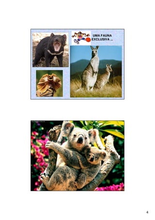 4
UMA FAUNA
EXCLUSIVA ...
 