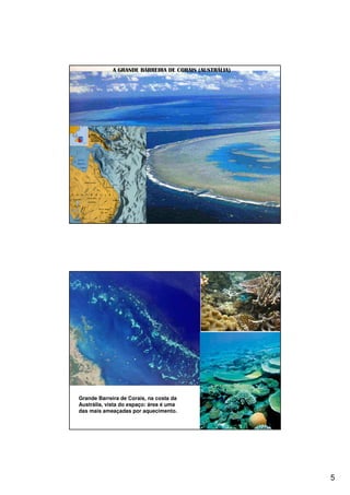5
A GRANDE BARREIRA DE CORAIS (AUSTRÁLIA)
Grande Barreira de Corais, na costa da
Austrália, vista do espaço: área é uma
das mais ameaçadas por aquecimento.
 