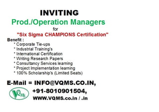 Six Sigma Champions Program