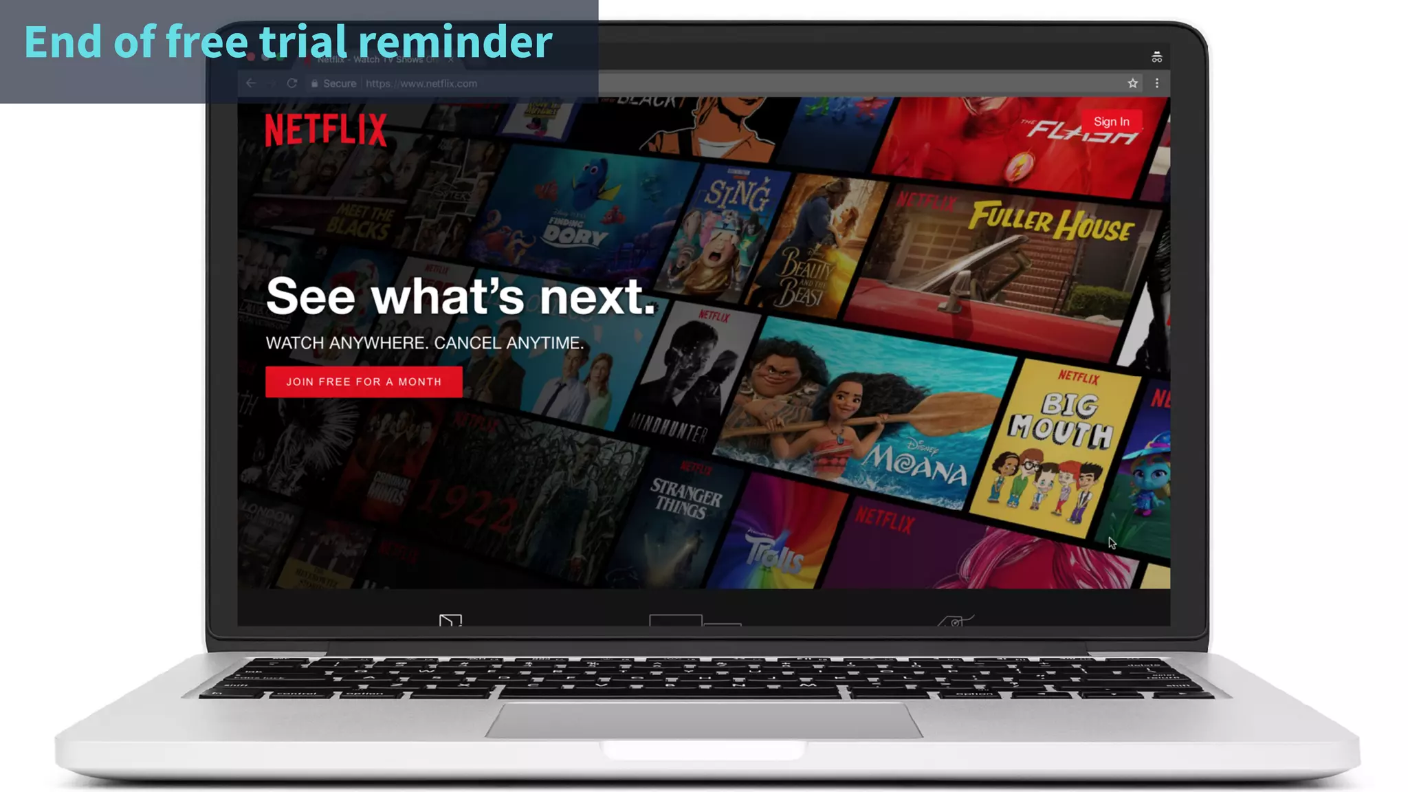 End of free trial reminder
 