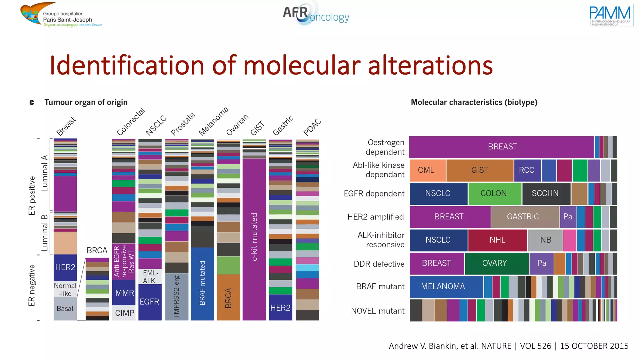 Identification of molecular alterations
Andrew V. Biankin, et al. NATURE | VOL 526 | 15 OCTOBER 2015
 
