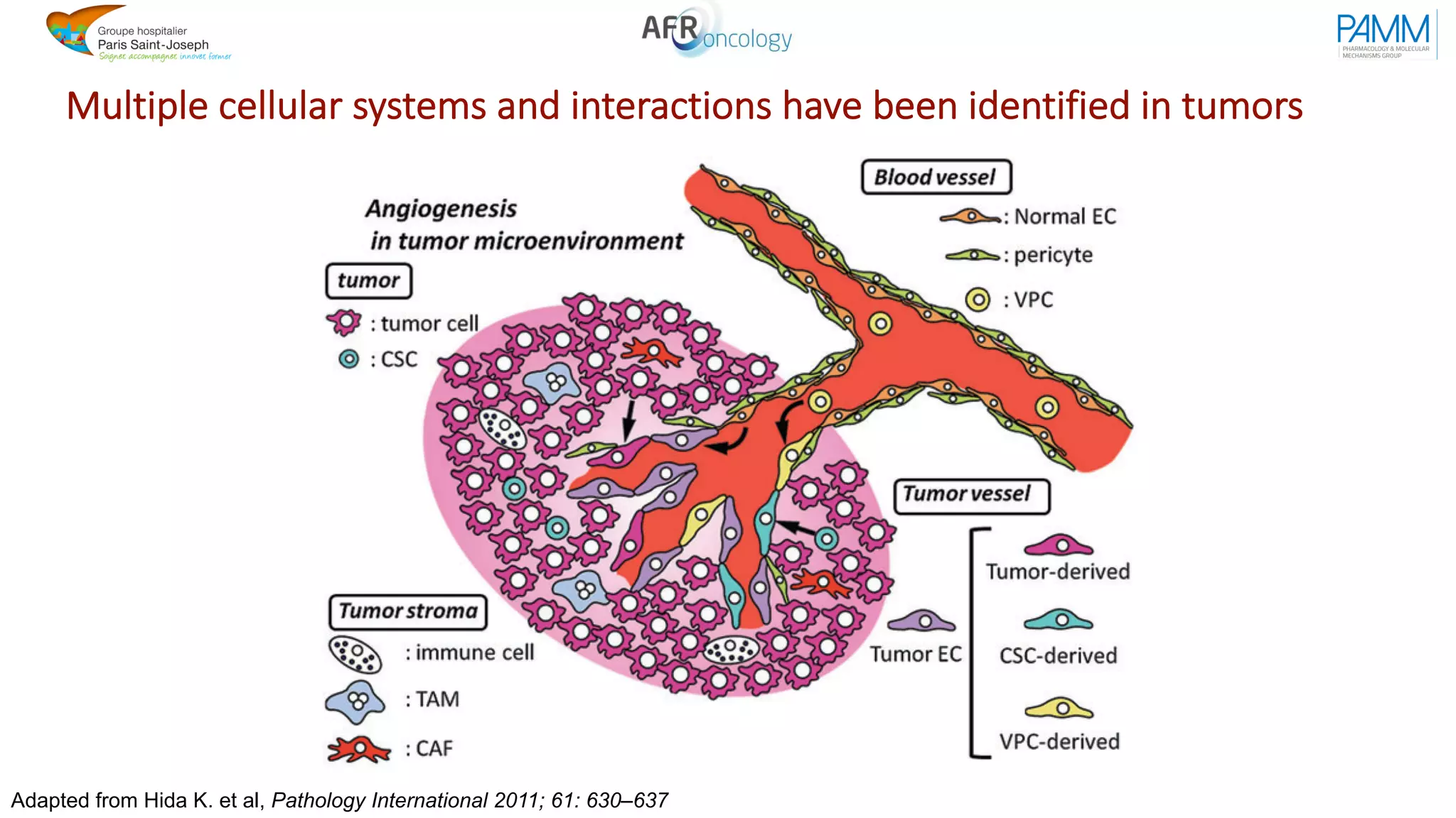 Multiple cellular systems and interactions have been identified in tumors
Adapted from Hida K. et al, Pathology International 2011; 61: 630–637
 