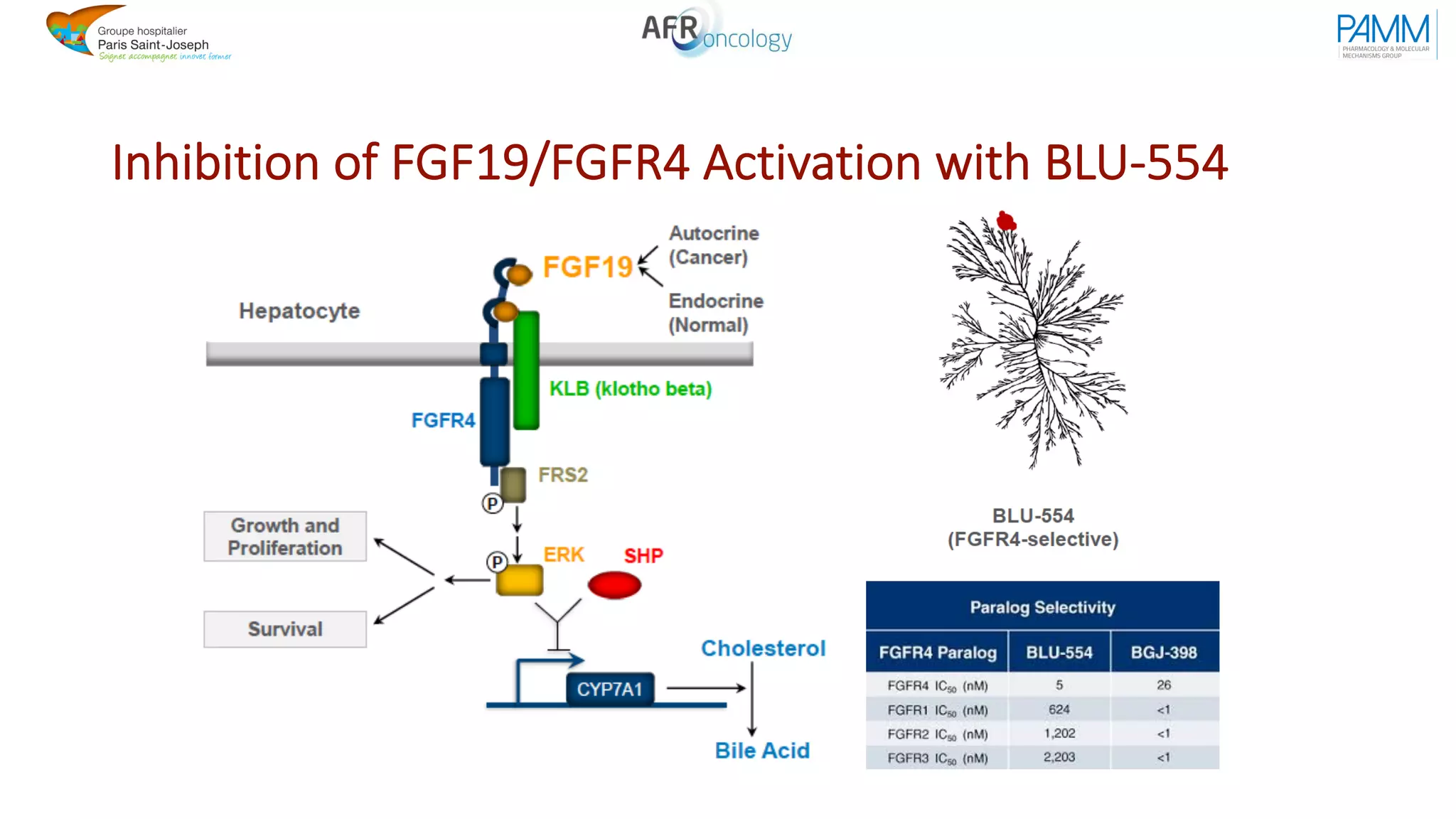 Inhibition of FGF19/FGFR4 Activation with BLU-554
 