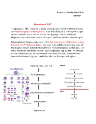 Prepared by: Manoj karki (BVSC&AH)
2020/04/25
Formation of RBC
The process of RBC formation is called Erythropoiesis. Blood cell formation also
called Hematopoiesis or Hemopoiesis. RBC main function is to transport oxygen
around our body. Blood cell are divided into 3 groups. The red blood cells
(Erythrocytes), white blood cells (Leukocytes) and blood platelets (thrombocytes).
It takes place at Hematopoietic stem cell in Red bone marrow of Humerus, Femur,
Sternum, Rib, Vertebra and Pelvis. This stem cell divided by mitosis and some of
the daughter cell get matured into erythrocyte when other remain as stem cell. The
entire maturation phase take around 4 days and proceed step by step. As a matter
of fact all the blood cell are divided from these stem cell. RBC are formed and
destroyed at breathtaking rate. 200 billion RBC are destroyed and replace.
Hematopoietic stem cell
Pro-Erythroblast
Basophilic Erythroblast
Polychromatic Erythroblast
Reticulocytes
Erythrocytes
 