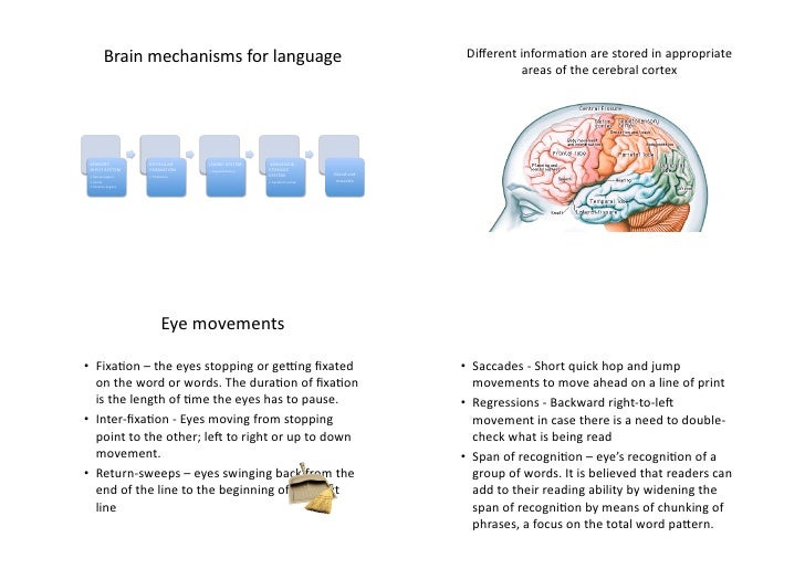 Pdf reading as a neuro physiological process Biology Diagrams