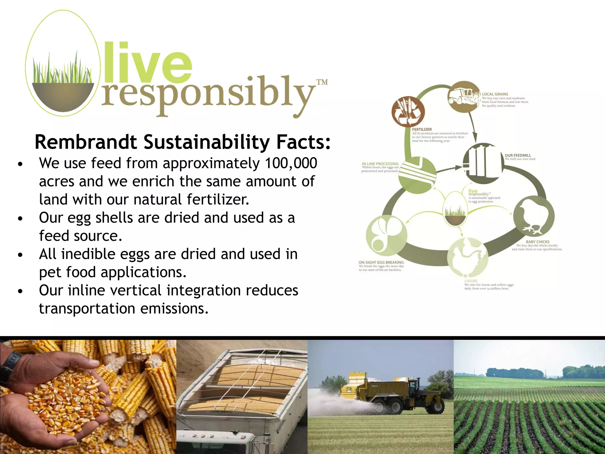 Rembrandt Sustainability Facts:
• We use feed from approximately 100,000
  acres and we enrich the same amount of
  land with our natural fertilizer.
• Our egg shells are dried and used as a
  feed source.
• All inedible eggs are dried and used in
  pet food applications.
• Our inline vertical integration reduces
  transportation emissions.
 