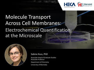Molecule Transport
Across Cell Membranes:
Electrochemical Quantification
at the Microscale
Associate Head of Graduate Studies
Associate Professor
Department of Chemistry
University of Manitoba
Sabine Kuss, PhD
 
