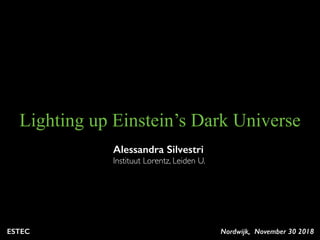 Alessandra Silvestri
Instituut Lorentz, Leiden U.
Lighting up Einstein’s Dark Universe
Nordwijk, November 30 2018ESTEC
 