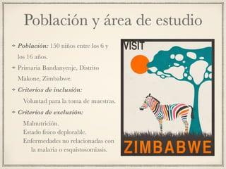 Población y área de estudio
Población: 150 niños entre los 6 y
los 16 años.
Primaria Bandanyenje, Distrito
Makone, Zimbabwe.
Criterios de inclusión:
Voluntad para la toma de muestras.
Criterios de exclusión:
Malnutrición.
Estado físico deplorable.
Enfermedades no relacionadas con
la malaria o esquistosomiasis.
 