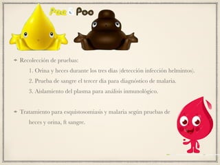 Recolección de pruebas:
1. Orina y heces durante los tres días (detección infección helmintos).
2. Prueba de sangre el tercer día para diagnóstico de malaria.
3. Aislamiento del plasma para análisis inmunológico.
Tratamiento para esquistosomiasis y malaria según pruebas de
heces y orina, ft sangre.
 