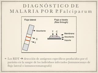 D I A G N Ó S T I C O D E
M A L A R I A P O R P. F a l c i p a r u m
Los RDT ➔ detección de antígenos especíﬁcos producidos por el
parásito en la sangre de los individuos infectados (inmunoensayo de
ﬂujo lateral o inmunocromatografo)
 