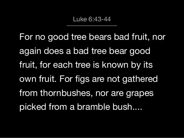 The Overflow Of Our Hearts Luke 6 43 45 the-overflow-of-our-hearts-luke-6-43-45