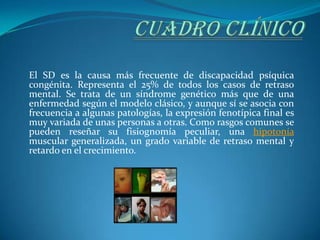 El SD es la causa más frecuente de discapacidad psíquica
congénita. Representa el 25% de todos los casos de retraso
mental. Se trata de un síndrome genético más que de una
enfermedad según el modelo clásico, y aunque sí se asocia con
frecuencia a algunas patologías, la expresión fenotípica final es
muy variada de unas personas a otras. Como rasgos comunes se
pueden reseñar su fisiognomía peculiar, una hipotonía
muscular generalizada, un grado variable de retraso mental y
retardo en el crecimiento.
 