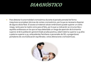  Para detectar la anormalidad cromosómica durante el periodo prenatal de forma
inequívoca se emplean técnicas de conteo cromosómico, por lo que es necesario disponer
de alguna célula fetal. El acceso al material celular embrionario puede suponer un cierto
riesgo, tanto para la madre como para el feto, por lo que su indicación se circunscribe a
aquellos embarazos en los que se haya detectado un riesgo de aparición de la trisomía
superior al de la población general (triple prueba positiva, edad materna superior a 35 años
o paterna superior a 50, antecedentes familiares o personales de SD, o progenitores
portadores de una traslocación equilibrada u otras alteraciones cromosómicas).
 