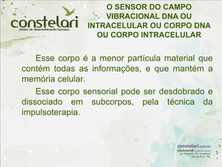 O SENSOR DO CAMPO
VIBRACIONAL DNA OU
INTRACELULAR OU CORPO DNA
OU CORPO INTRACELULAR
Esse corpo é a menor partícula material que
contém todas as informações, e que mantém a
memória celular.
Esse corpo sensorial pode ser desdobrado e
dissociado em subcorpos, pela técnica da
impulsoterapia.
 