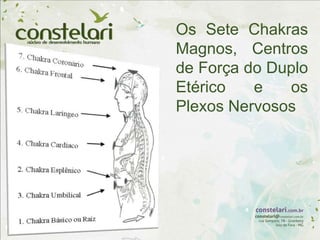 Os Sete Chakras
Magnos, Centros
de Força do Duplo
Etérico e os
Plexos Nervosos
 
