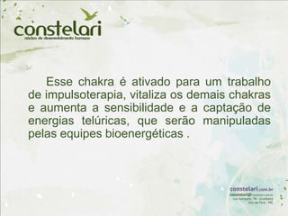 Esse chakra é ativado para um trabalho
de impulsoterapia, vitaliza os demais chakras
e aumenta a sensibilidade e a captação de
energias telúricas, que serão manipuladas
pelas equipes bioenergéticas .
 
