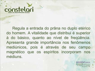 Regula a entrada do prâna no duplo etérico
do homem. A vitalidade que distribui é superior
à do básico, quanto ao nível de freqüência.
Apresenta grande importância nos fenômenos
mediúnicos, pois é através de seu campo
magnético que os espíritos incorporam nos
médiuns.
 