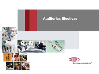 Auditorías Efectivas
 