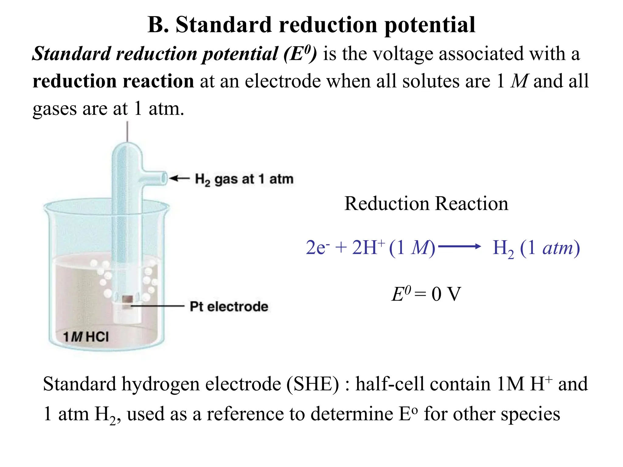B. Standard reduction potential
Standard reduction potential (E0) is the voltage associated with a
reduction reaction at an electrode when all solutes are 1 M and all
gases are at 1 atm.
E0 = 0 V
Standard hydrogen electrode (SHE) : half-cell contain 1M H+ and
1 atm H2, used as a reference to determine Eo for other species
2e- + 2H+ (1 M) H2 (1 atm)
Reduction Reaction
 