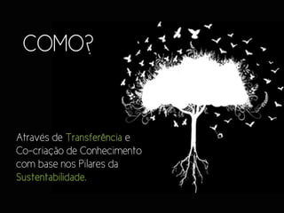 COMO?


Através de Transferência e
Co-criação de Conhecimento
com base nos Pilares da
Sustentabilidade.
 