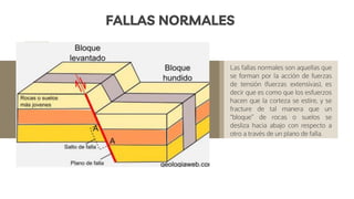 FALLAS NORMALES
Las fallas normales son aquellas que
se forman por la acción de fuerzas
de tensión (fuerzas extensivas), es
decir que es como que los esfuerzos
hacen que la corteza se estire, y se
fracture de tal manera que un
“bloque” de rocas o suelos se
desliza hacia abajo con respecto a
otro a través de un plano de falla.
 