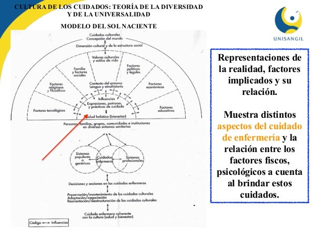 Pdf Teor U00edas De Enfermer U00eda