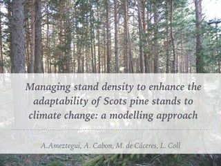 Managing stand density to enhance the
adaptability of Scots pine stands to
climate change: a modelling approach
A.Ameztegui, A. Cabon, M. de Cáceres, L. Coll
 