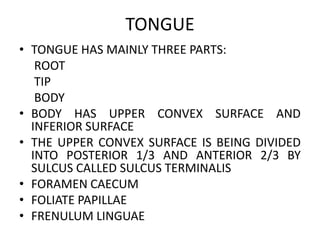 TONGUE
• TONGUE HAS MAINLY THREE PARTS:
ROOT
TIP
BODY
• BODY HAS UPPER CONVEX SURFACE AND
INFERIOR SURFACE
• BODY HAS UPPER CONVEX SURFACE AND
INFERIOR SURFACE
• THE UPPER CONVEX SURFACE IS BEING DIVIDED
INTO POSTERIOR 1/3 AND ANTERIOR 2/3 BY
SULCUS CALLED SULCUS TERMINALIS
• FORAMEN CAECUM
• FOLIATE PAPILLAE
• FRENULUM LINGUAE
 