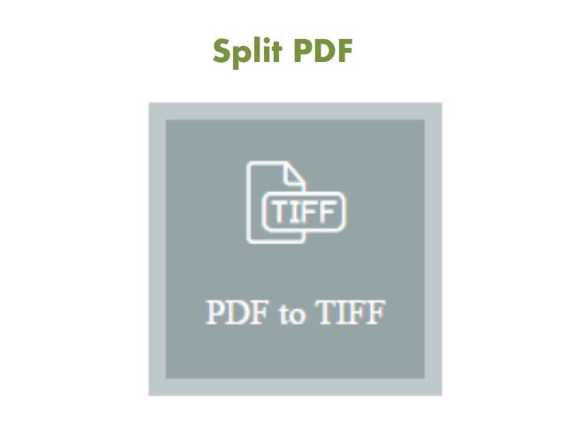 online word document