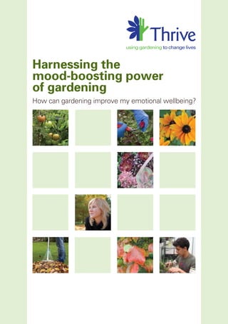 Harnessing the
mood-boosting power
of gardening
How can gardening improve my emotional wellbeing?
 