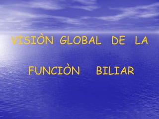 VISIÒN GLOBAL DE LA
FUNCIÒN

BILIAR

 