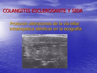 COLANGITIS ESCLEROSANTE Y SIDA
Producen alteraciones de la vía biliar
intrahepatica idénticas en la ecografía

 