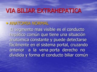 VIA BILIAR EXTRAHEPATICA
• ANATOMIA NORMAL
El segmento mas visible es el conducto
hepático común que tiene una situación
anatómica constante y puede detectarse
fácilmente en el sistema portal, cruzando
anterior a la vena porta derecho no
dividida y forma el conducto biliar común

 