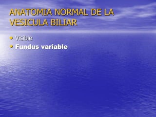ANATOMIA NORMAL DE LA
VESICULA BILIAR
• Visible
• Fundus variable

 
