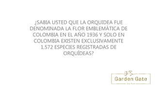 ¿SABIA USTED QUE LA ORQUIDEA FUE
DENOMINADA LA FLOR EMBLEMÁTICA DE
COLOMBIA EN EL AÑO 1936 Y SOLO EN
COLOMBIA EXISTEN EXCLUSIVAMENTE
1.572 ESPECIES REGISTRADAS DE
ORQUÍDEAS?
atégica
 