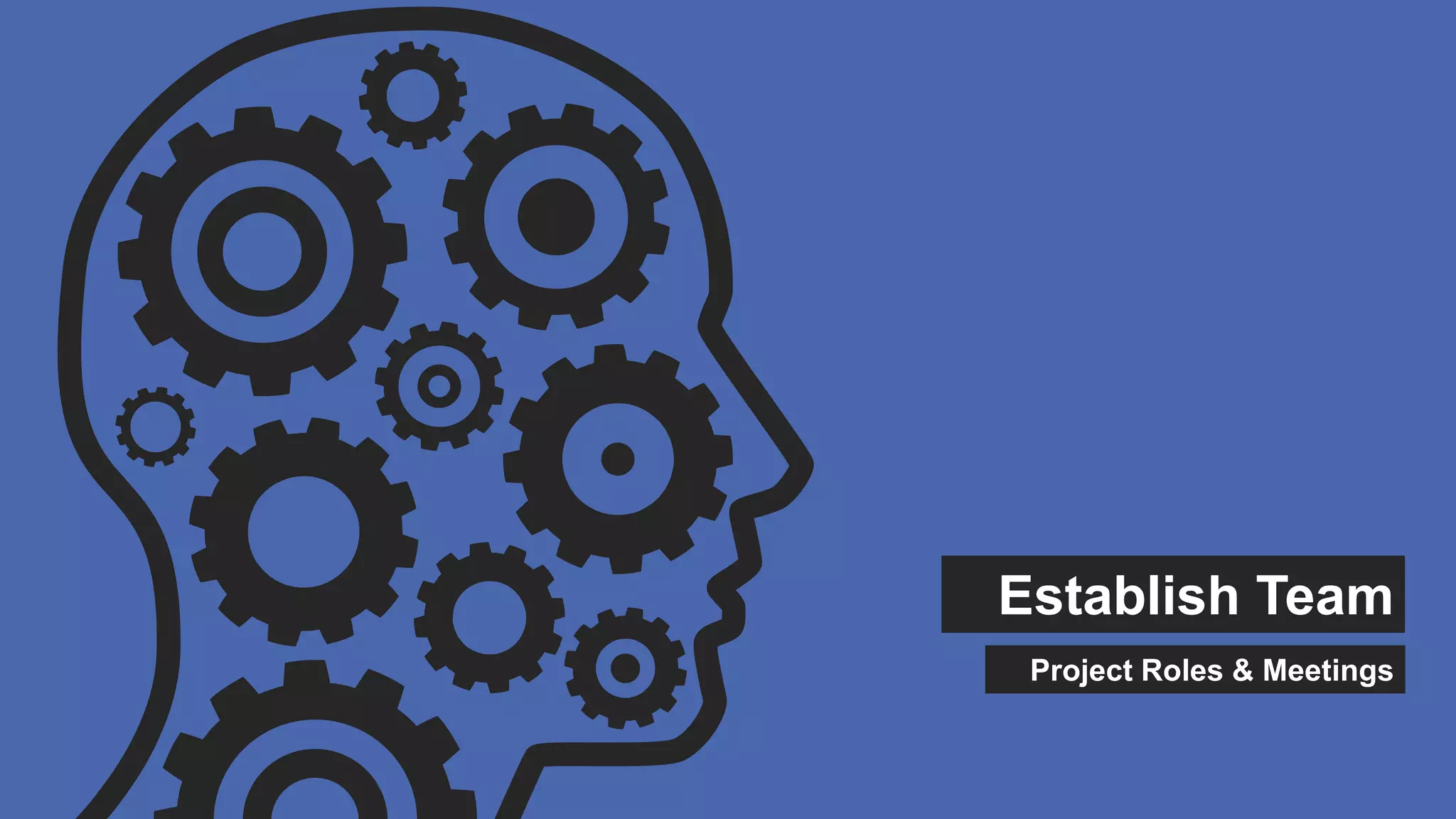 Establish Team
Project Roles & Meetings
 