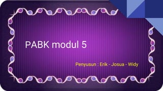 PABK modul 5
Penyusun : Erik - Josua - Widy
 