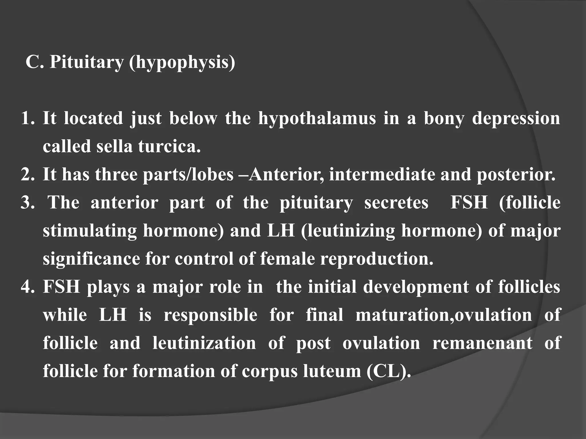 C. Pituitary (hypophysis)
1. It located just below the hypothalamus in a bony depression
called sella turcica.
2. It has three parts/lobes –Anterior, intermediate and posterior.
3. The anterior part of the pituitary secretes FSH (follicle
stimulating hormone) and LH (leutinizing hormone) of major
significance for control of female reproduction.
4. FSH plays a major role in the initial development of follicles
while LH is responsible for final maturation,ovulation of
follicle and leutinization of post ovulation remanenant of
follicle for formation of corpus luteum (CL).
 