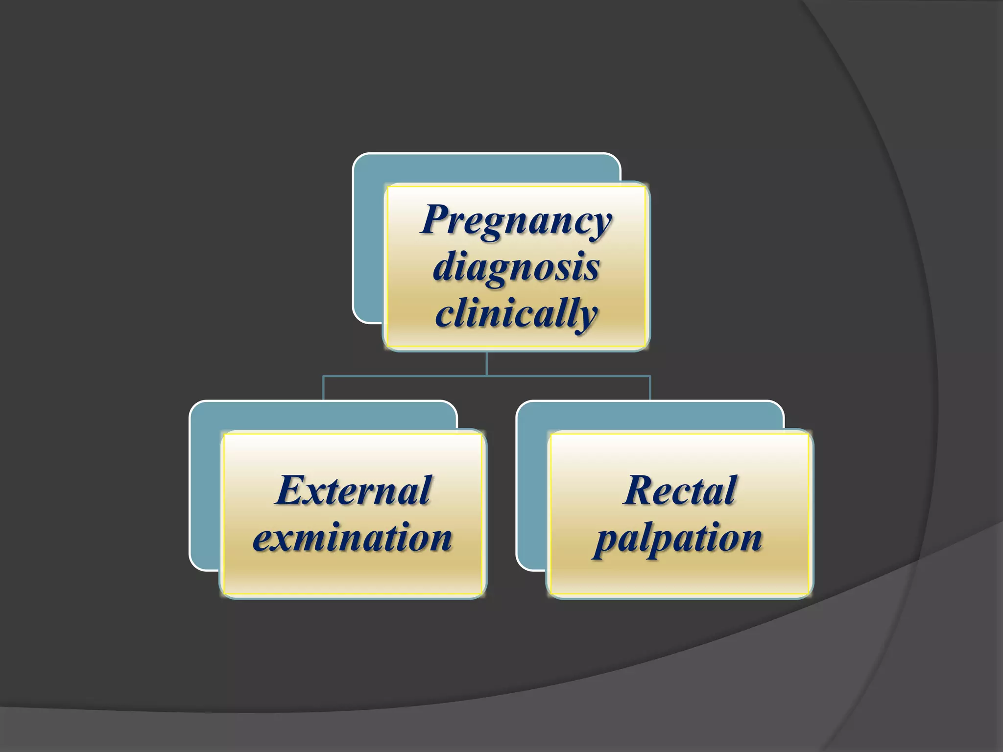 Pregnancy
diagnosis
clinically
External
exmination
Rectal
palpation
 