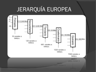 JERARQUÍA EUROPEA 