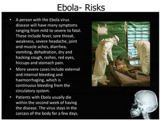Ebola- Risks
• A person with the Ebola virus
disease will have many symptoms
ranging from mild to severe to fatal.
These include fever, sore throat,
weakness, severe headache, joint
and muscle aches, diarrhea,
vomiting, dehydration, dry and
hacking cough, rashes, red eyes,
hiccups and stomach pain.
• More severe cases include external
and internal bleeding and
haemorrhaging, which is
continuous bleeding from the
circulatory system.
• Patients with Ebola usually die
within the second week of having
the disease. The virus stays in the
carcass of the body for a few days.
 