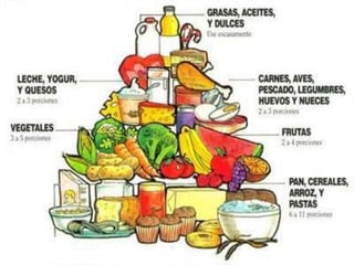 Tipos De Dieta