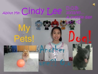 D.O.B: 20/11/97... A prezzie day! LOL!  =D About Me: Cindy Lee My Pets! Dog! Another one?! O.o 