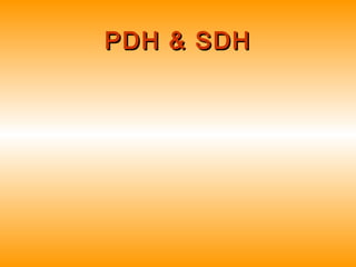 PDH & SDHPDH & SDH
 